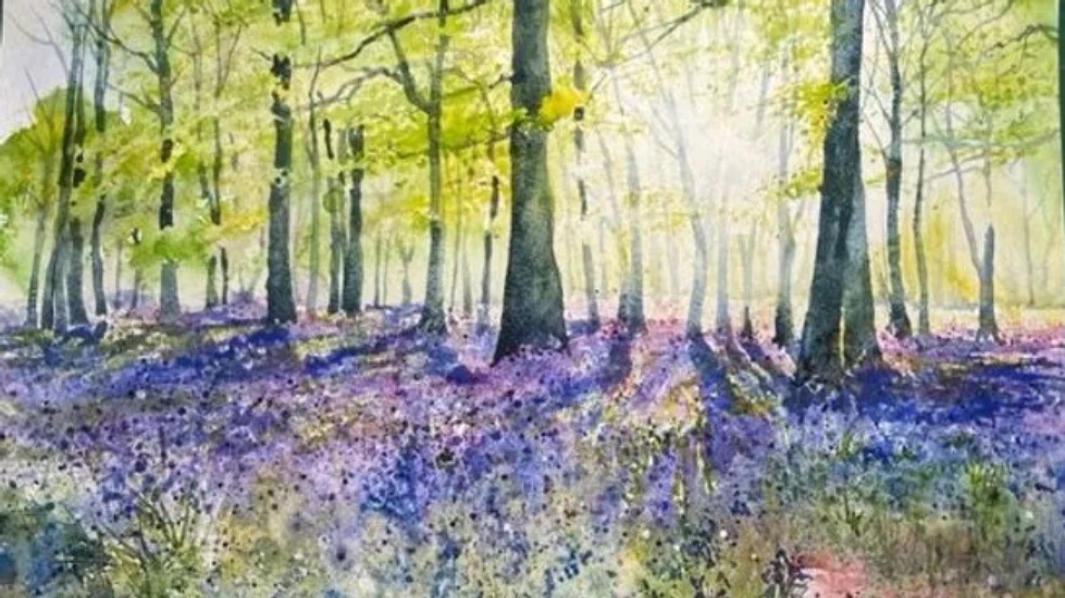 R Young Gallery - Paint Bluebell Wood