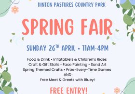 Spring Fair at Dinton