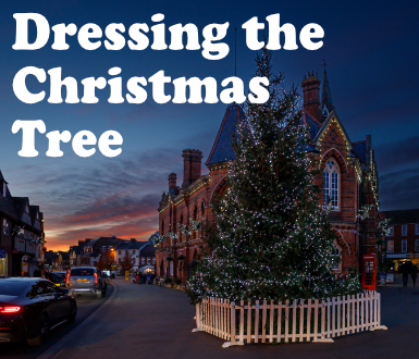 Dressing the Christmas Tree